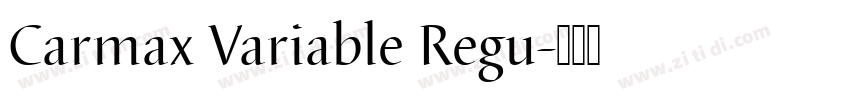 Carmax Variable Regu字体转换